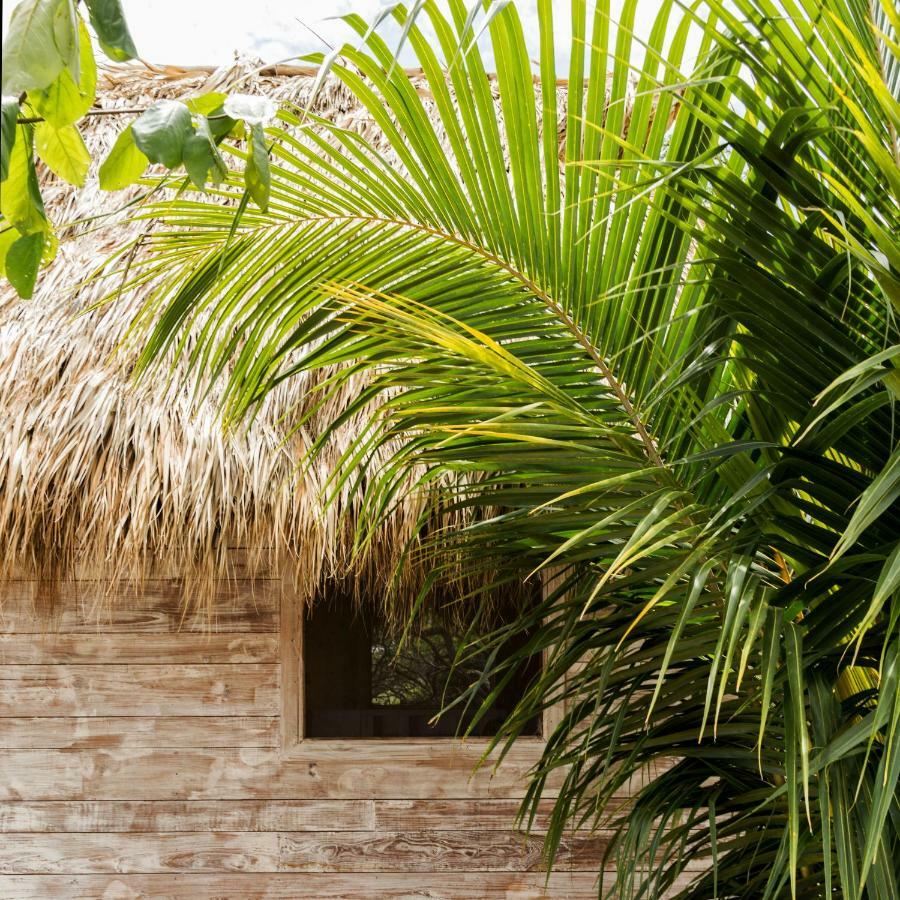 Suyo Cabanas Popoyo | Hotel Suyo El Limón Extérieur photo